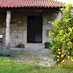 Gospodarstwo wiejskie Quinta De Santo Antonio