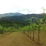Quinta De Santo Antonio Gospodarstwo wiejskie Sá