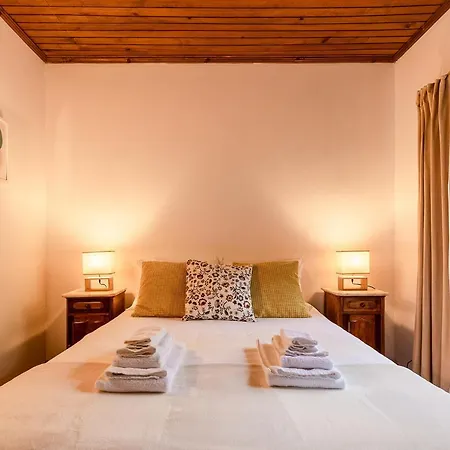 カントリーハウス Quinta De Santo Antonio Sá