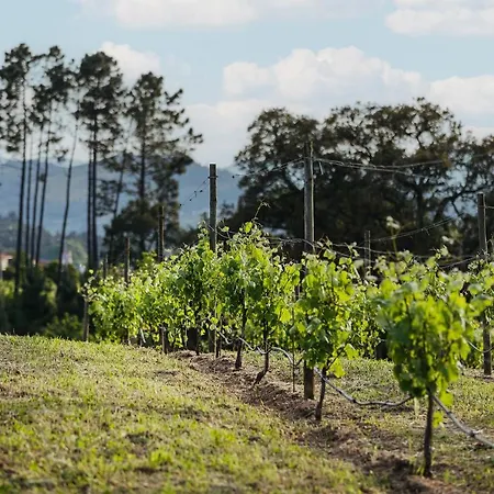 Quinta De Santo Antonio