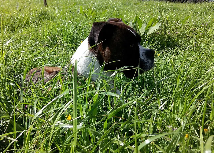 בית כפרי Quinta De Santo Antonio