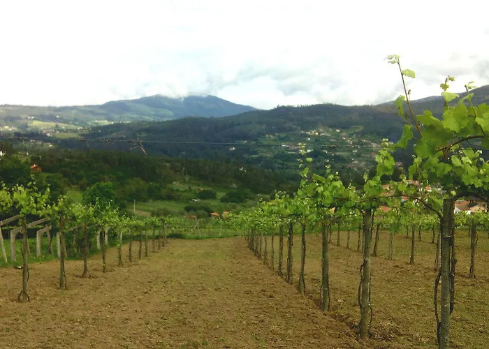 Quinta De Santo Antonio Casa di campagna Sá